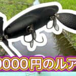 【痴虫】自分史上一番高価なルアー【バス釣り】【柴山沼】