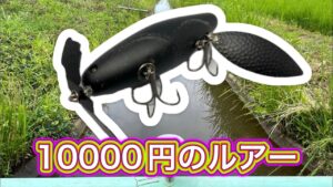 【痴虫】自分史上一番高価なルアー【バス釣り】【柴山沼】