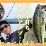 アーリーサマーの五三川を攻める！【ルアー合衆国】