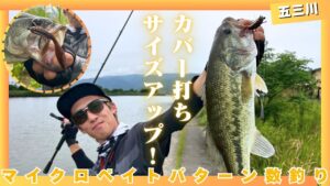 アーリーサマーの五三川を攻める！【ルアー合衆国】