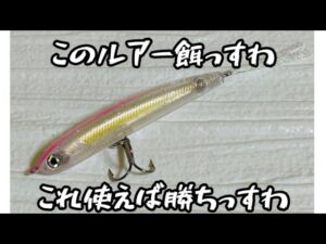 【茨城バス釣り】上野沼でバス釣り　このルアー強い💪