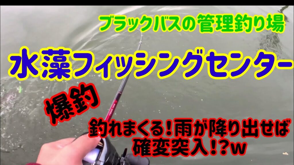 【バス釣り】爆釣⁉️関西のブラックバス管理釣り場でバス釣り特訓‼️