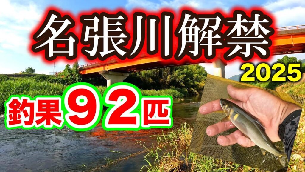 名張川、今年も遡上良好！今後に高期待の解禁日 釣行【２０２５年　アユ釣り】