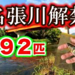 名張川、今年も遡上良好！今後に高期待の解禁日 釣行【２０２５年　アユ釣り】