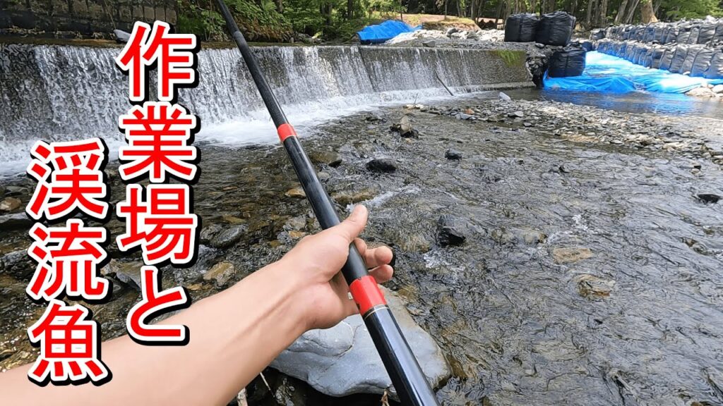 【渓流釣り】工事中の堰堤で釣りしてみると…