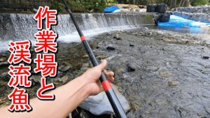 【渓流釣り】工事中の堰堤で釣りしてみると…