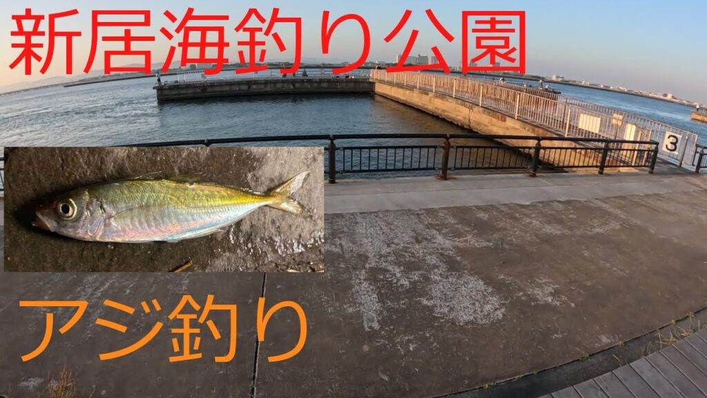 【浜名湖】ハイパニックで、ひたすらアジ釣り！