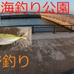 【浜名湖】ハイパニックで、ひたすらアジ釣り！