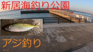 【浜名湖】ハイパニックで、ひたすらアジ釣り!