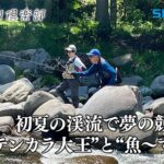 【おとな釣り倶楽部】テンカラシーズン最盛期！初夏の岐阜県・一色川で美しい岩魚・山女魚と出会う。