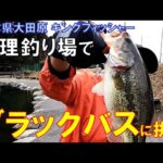 日本有数の管理釣り場で ブラックバスに挑む！@キングフィッシャー