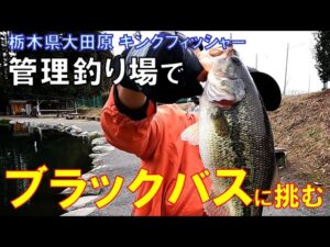 日本有数の管理釣り場で ブラックバスに挑む!@キングフィッシャー