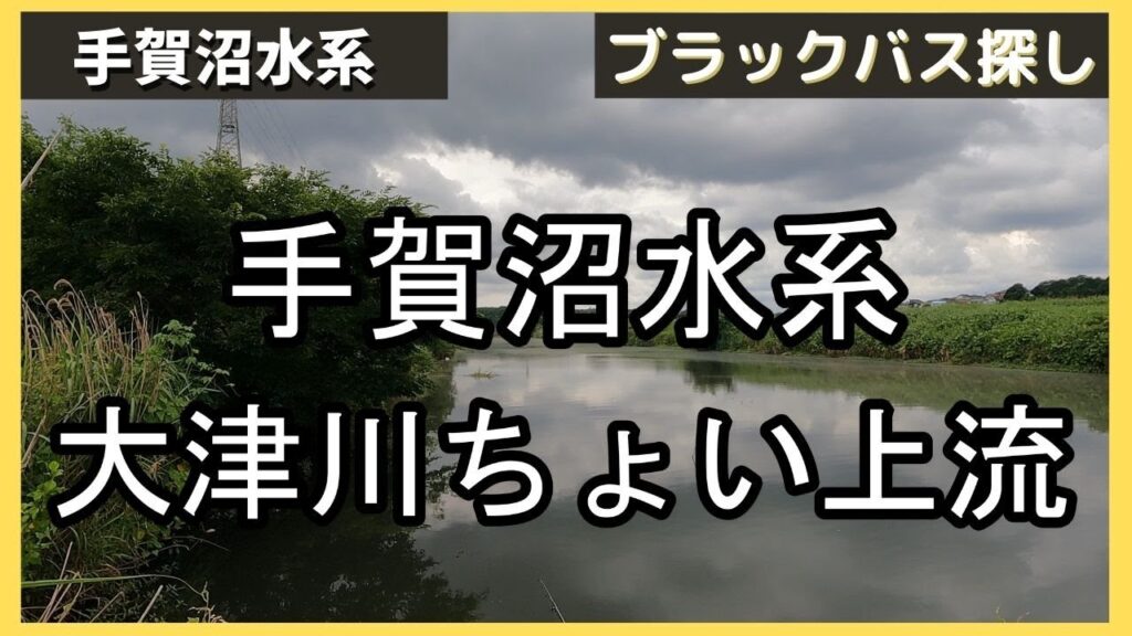 【手賀沼バス釣り】手賀沼水系大津川上流の調査