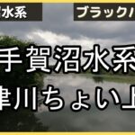 【手賀沼バス釣り】手賀沼水系大津川上流の調査