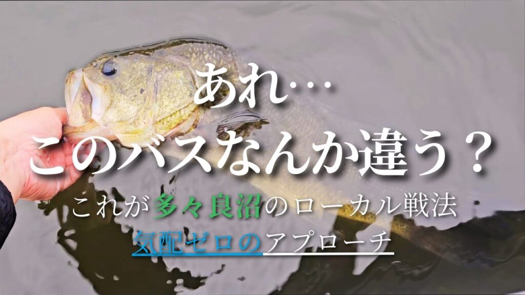 あれ…このブラックバス、なんか違う？多々良沼ローカルの静かすぎる戦法とは。