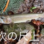 山梨県　【渓流釣り】