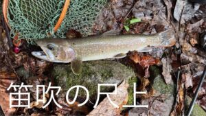 山梨県　【渓流釣り】