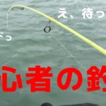 初心者の海釣り！鱒レンジャーとダイソーのマイクロジグを使ってみた！めちゃくちゃ釣れるって聞いてたけど・・・結果は！？