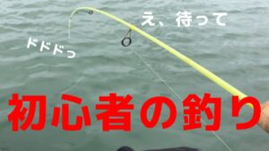 初心者の海釣り！鱒レンジャーとダイソーのマイクロジグを使ってみた！めちゃくちゃ釣れるって聞いてたけど・・・結果は！？