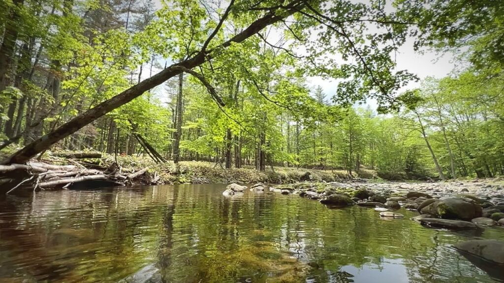 春の道東の上流域を新規開拓【北海道渓流釣り】