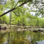 春の道東の上流域を新規開拓【北海道渓流釣り】