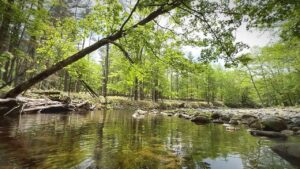 春の道東の上流域を新規開拓【北海道渓流釣り】
