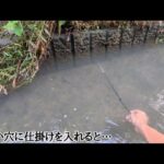 浜名湖周辺河川でうなぎを穴釣りで狙ってみたら…🐟