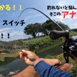 捕食スイッチを入れたら確実に口を使います