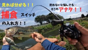 捕食スイッチを入れたら確実に口を使います