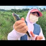 【相模川】誰でも簡単に釣れるアユイングルアーの紹介