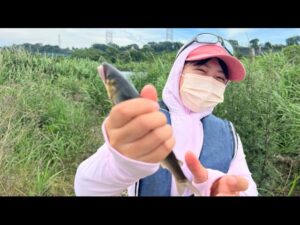 【相模川】誰でも簡単に釣れるアユイングルアーの紹介