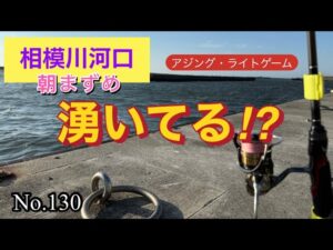 【相模川河口】湧いてました😉