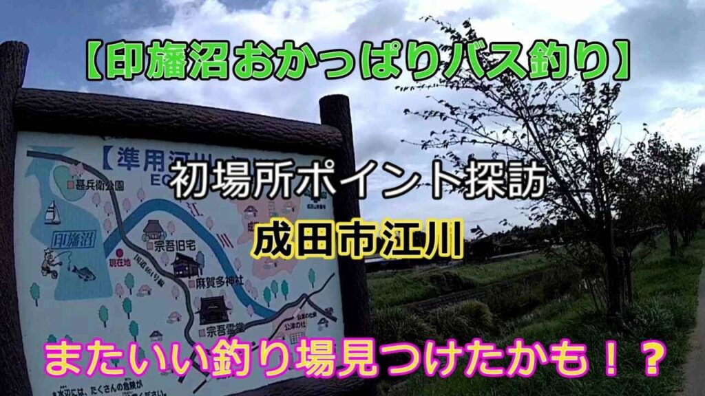 【印旛沼おかっぱりバス釣り】初場所ポイント探訪、『成田市　江川』　またいい釣り場見つけたかも！？