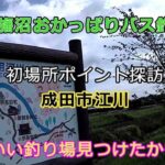【印旛沼おかっぱりバス釣り】初場所ポイント探訪、『成田市　江川』　またいい釣り場見つけたかも！？