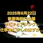 新居海釣り公園　仕事終わりにちゃちゃっと釣りのはずが…