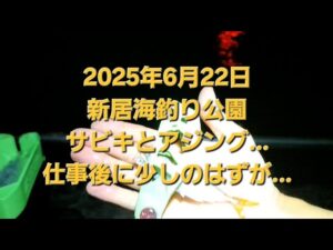 新居海釣り公園　仕事終わりにちゃちゃっと釣りのはずが…