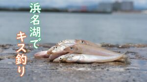 【ちょい投げ調査】浜名湖でキスを狙ってみた【浜名湖・網干場】