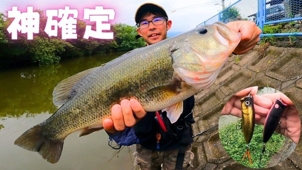 本当は教えたくない日中でもバイトが出せる神トップルアー！ [バス釣り] [五三川バス釣り] [大江川バス釣り] [トップウォーターバス釣り]