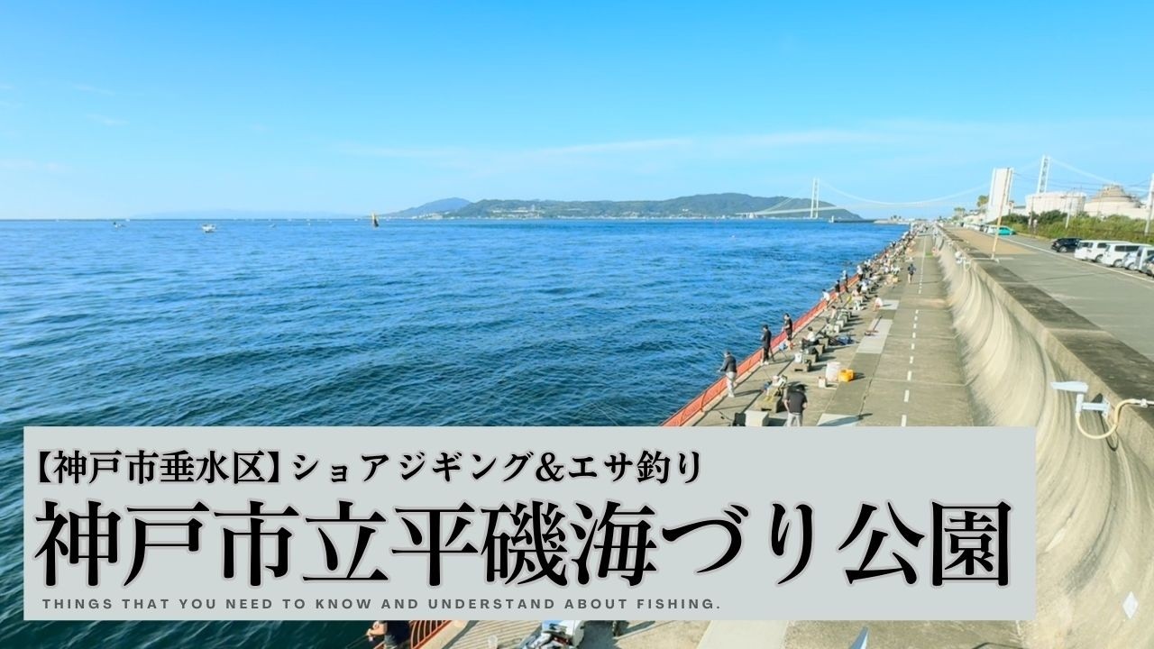 【神戸釣り】平磯海釣り公園の釣果は!?ショアジギング&エサ釣りに挑戦🎣
