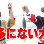【過去回】こんな贅沢していいんですか！？釣った魚の絶品料理に感動！！