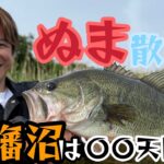 【ぬま散歩第三弾】アフターシーズンの印旛沼でモンスターを狙う！？【酒井俊信】