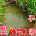 【ウキ釣りだいちゃん】手賀沼（千葉県柏市）ボウズからの良型ふな連発♪もはや数釣り勝負！