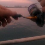 ［浜名湖］海釣り公園の本領発揮！？旬の美味いつまみ！！釣りあげてみる