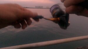 ［浜名湖］海釣り公園の本領発揮！？旬の美味いつまみ！！釣りあげてみる