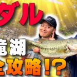 【バス】ナダルが高滝湖を完全攻略！？陸っぱりバス(後編)