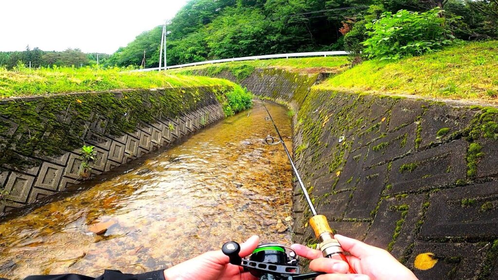 【渓流ルアー】小さい川で、大きい魚が釣れました。