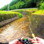 【渓流ルアー】小さい川で、大きい魚が釣れました。