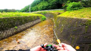 【渓流ルアー】小さい川で、大きい魚が釣れました。