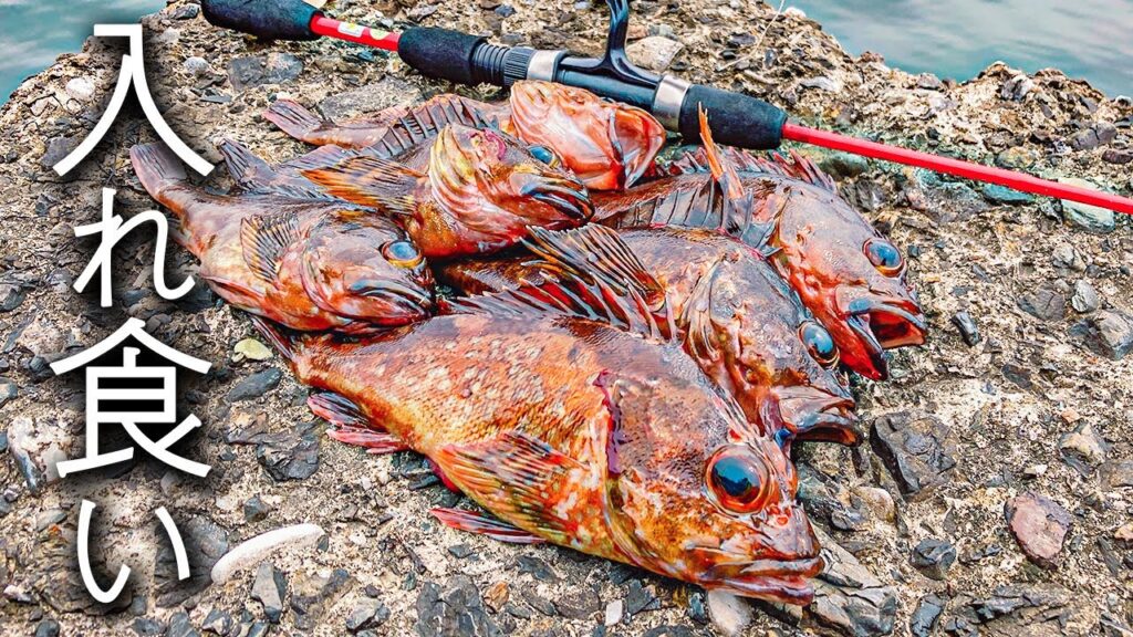 【穴釣り】でっかいカサゴが連発したのはこういう場所だった