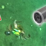 【衝撃映像】タコがエギに食いつく瞬間を最新の水中カメラで撮影したらヤバすぎた。タコ釣りの常識が変わる奇跡の瞬間を捉える事に成功。